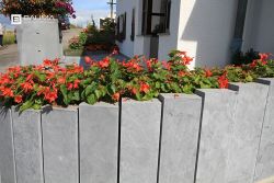 Monja palissade 2.jpg