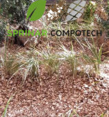 Paillage Aulnes 1.jpg