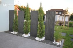 Stella palissade.jpg