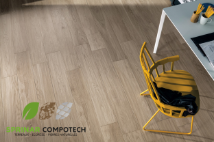 dalle SI01 intérieur.png