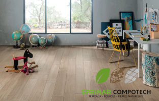 dalle SI01 intérieur 2.png