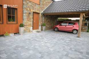 Julie opus paves.jpg