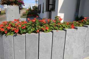 Monja palissade 2.jpg