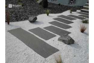 Stella palissade1.jpg