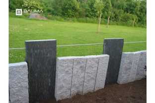 Stella palissade2.jpg