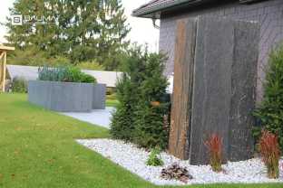 Stella palissade3.jpg